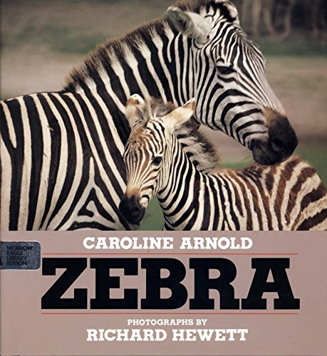 Zebra by Caroline Arnold