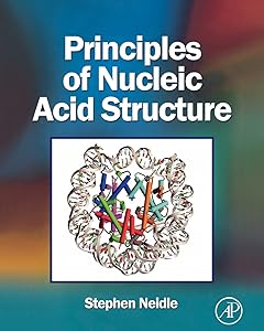 Principles of Nucleic Acid Structure by Stephen Neidle