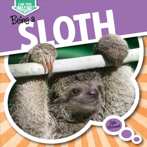 Being a Sloth by Julia McDonnell