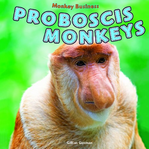 Proboscis Monkeys by Gillian Gosman