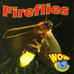 Fireflies