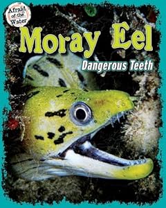 Moray Eel: Dangerous Teeth