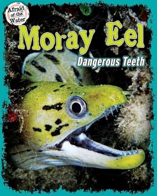 Moray Eel: Dangerous Teeth