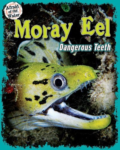 Moray Eel: Dangerous Teeth by Meish Goldish