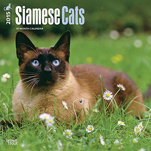 Siamese Cats 2015 Wall Calendar