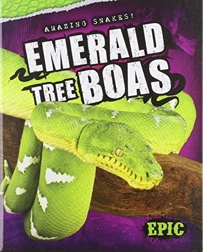 Emerald Tree Boas by Emily Rose Oachs