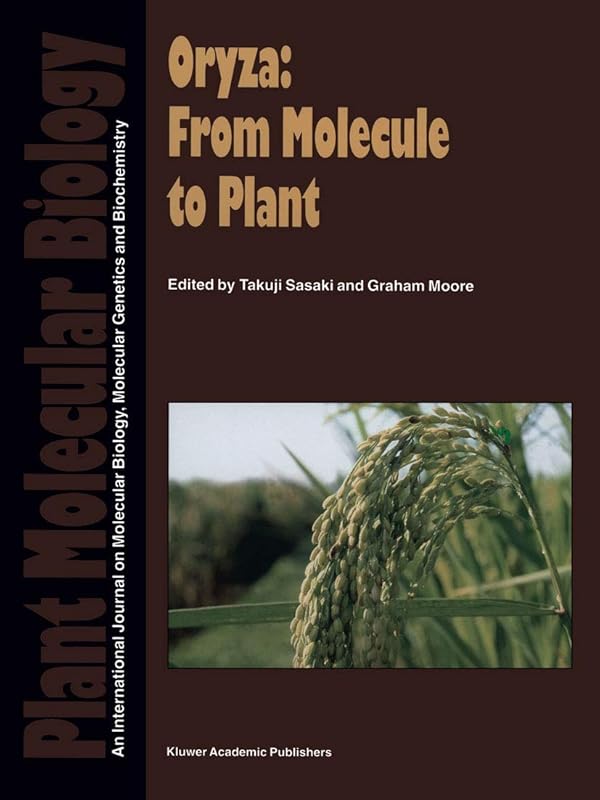Oryza: From Molecule to Plant (Plant Molecular Biology, Vol 35, Nos 1-2,) by Graham Moore