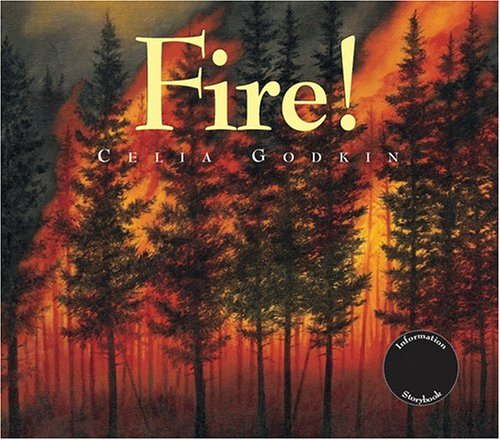 Fire!: A Renewal of A Forest by Celia Godkin