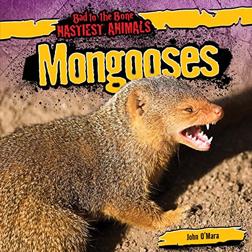 Mongooses by John O'Mara