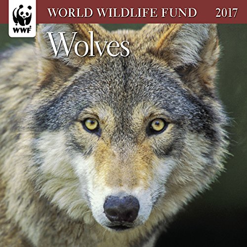 Wolves WWF Mini Wall Calendar 2017