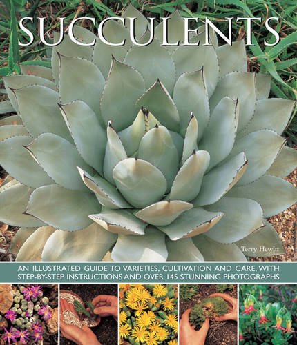 Succulents: An illustrated guide to varieties, cultivation and care, with step-by-step instructions and over 145 stunning photographs by Terry Hewitt