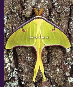Moths (The World of Insects)