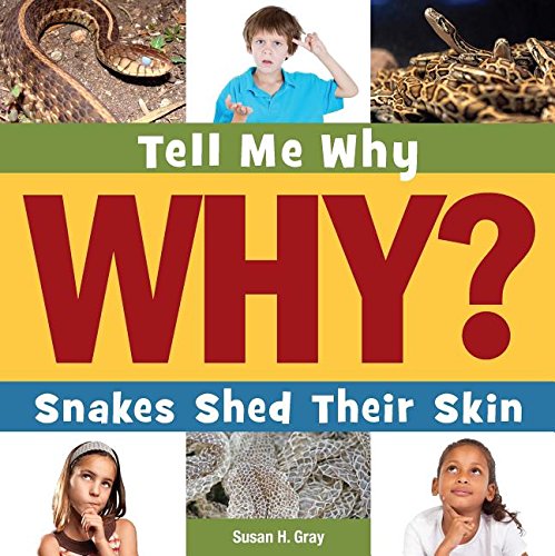 Snakes Shed Their Skin by Susan Heinrichs Gray