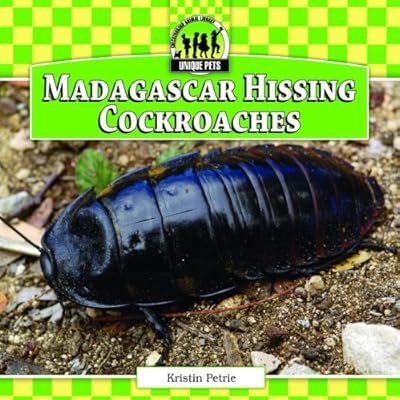 Madagascar Hissing Cockroaches
