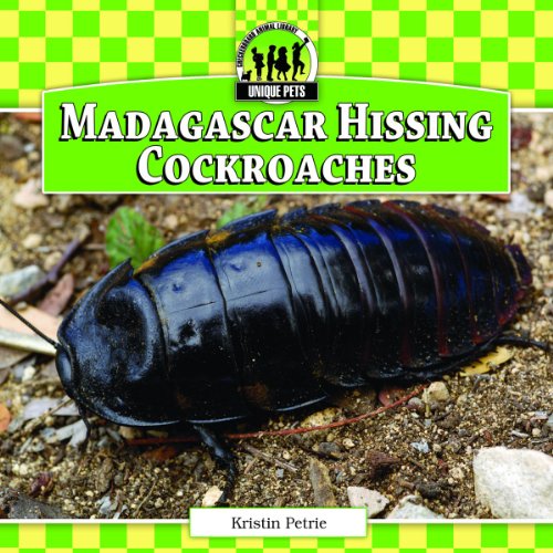 Madagascar Hissing Cockroaches by Kristin Petrie