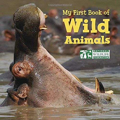 My First Book of Wild Animals by National Wildlife Federation