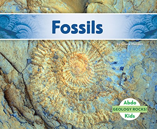 Fossils by Grace Hansen