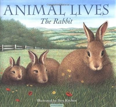 The Rabbit (Animal Lives)