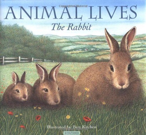 The Rabbit (Animal Lives) by Sally Tagholm