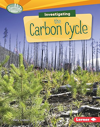 Investigating the Carbon Cycle by Mary Lindeen