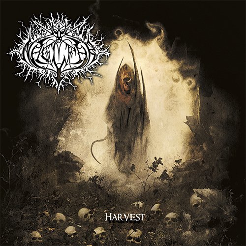 Algopix Similar Product 3 - 