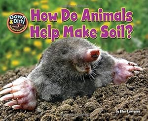 How Do Animals Help Make Soil?