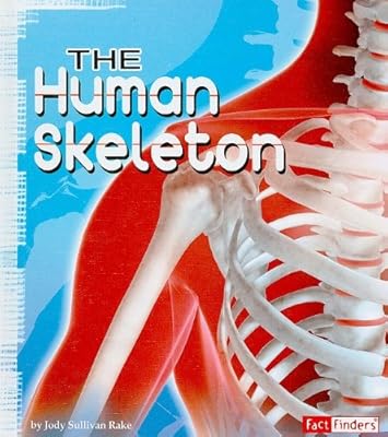 The Human Skeleton