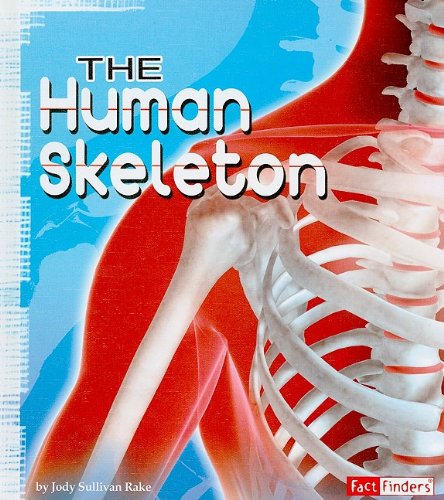 The Human Skeleton by Jody Sullivan Rake