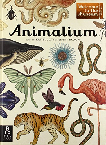 Animalium by Jenny Broom