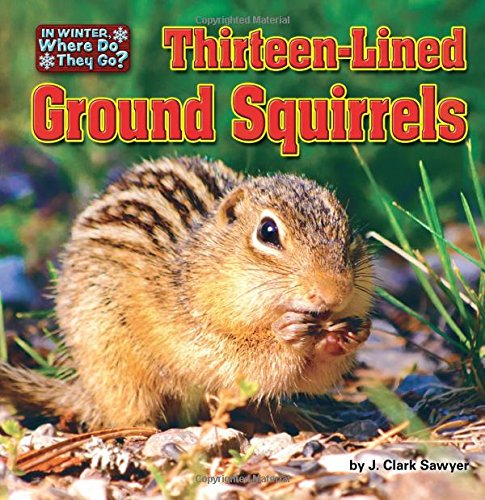 Thirteen-Lined Ground Squirrels by J. Clark Sawyer