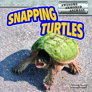 Snapping Turtles by Bethany Baxter