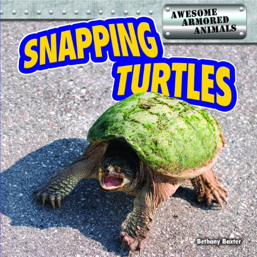 Snapping Turtles by Bethany Baxter