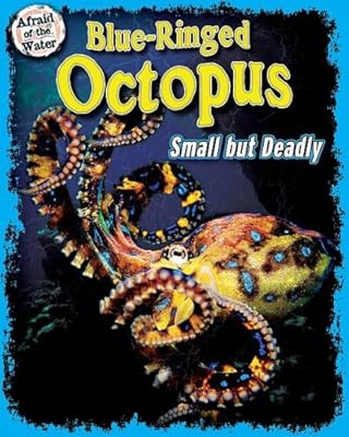 Blue-Ringed Octopus: Small but Deadly (Afraid of the Water)