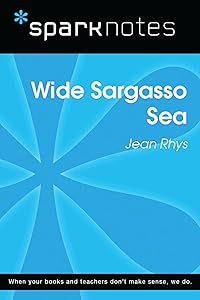 Wide Sargasso Sea (SparkNotes Literature Guide) (SparkNotes Literature Guide Series)