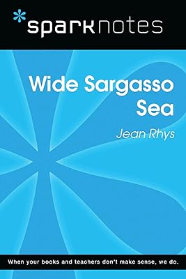 Wide Sargasso Sea (SparkNotes Literature Guide) (SparkNotes Literature Guide Series)