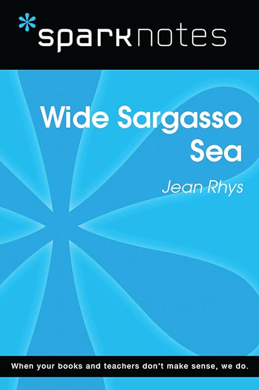 Wide Sargasso Sea (SparkNotes Literature Guide) (SparkNotes Literature Guide Series) by SparkNotes