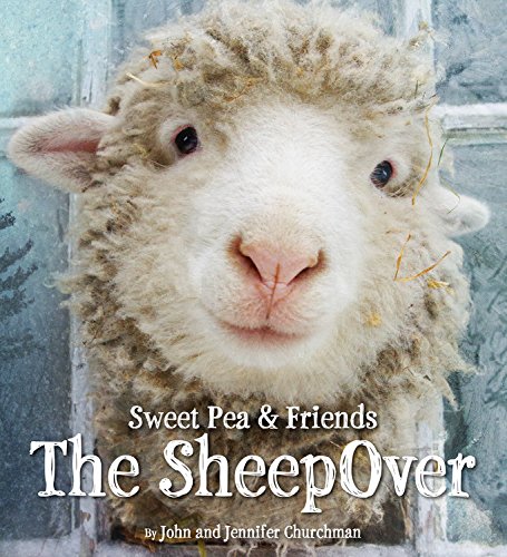 The SheepOver by John Churchman