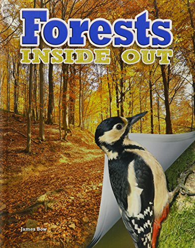 Forests inside out by James Bow