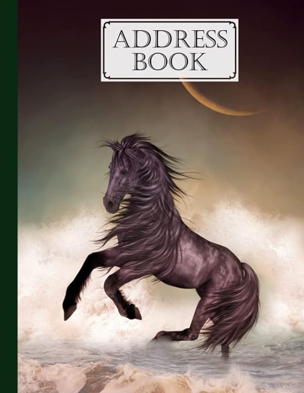 Address Book: Horse Cover Address Book, Record Birthday, Phone Number, Address, Email and Notes, 120 Pages, Size 8.5" x 11" Design by Annelies Rose by Annelies Rose