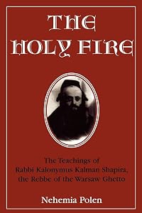 The Holy Fire: The Teachings of Rabbi Kalonymus Kalman Shapira, the Rebbe of the Warsaw Ghetto by Nehemia Polen