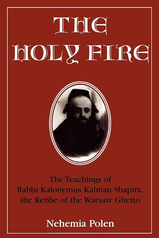 The Holy Fire: The Teachings of Rabbi Kalonymus Kalman Shapira, the Rebbe of the Warsaw Ghetto by Nehemia Polen
