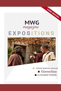 Expositions: Giving detailed explanation of Bible accounts (First Edition) by Faith Nwabuisi