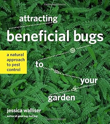 Attracting Beneficial Bugs to Your Garden: A Natural Approach to Pest Control