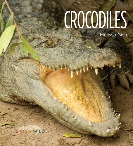 Crocodiles by Melissa Gish