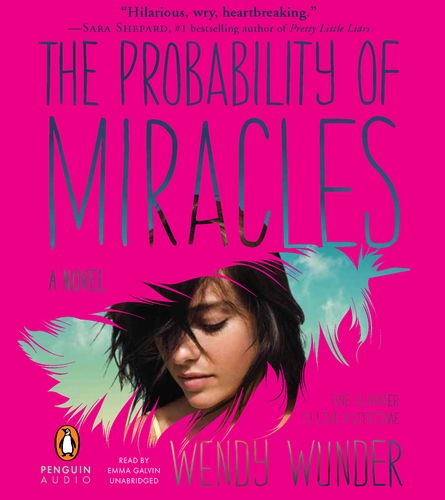 The Probability of Miracles by Wendy Wunder