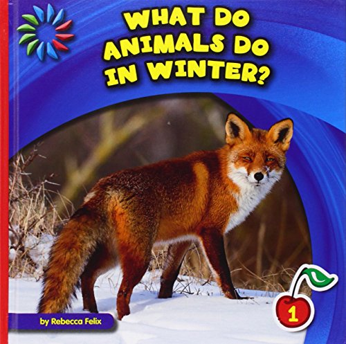 What Do Animals Do in Winter? by Rebecca Felix