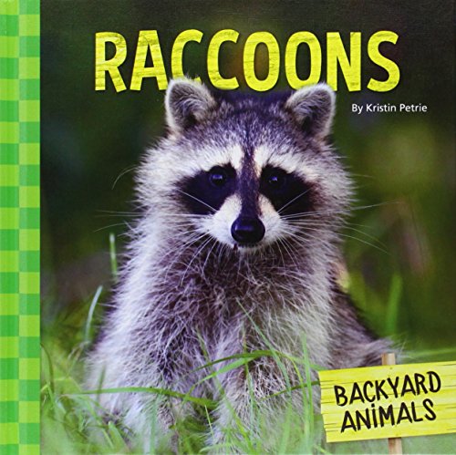 Raccoons by Kristin Petrie