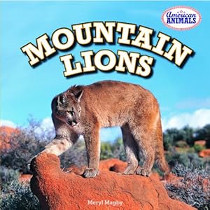 Mountain Lions
