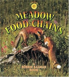 Meadow Food Chains