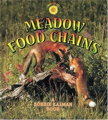 Meadow Food Chains